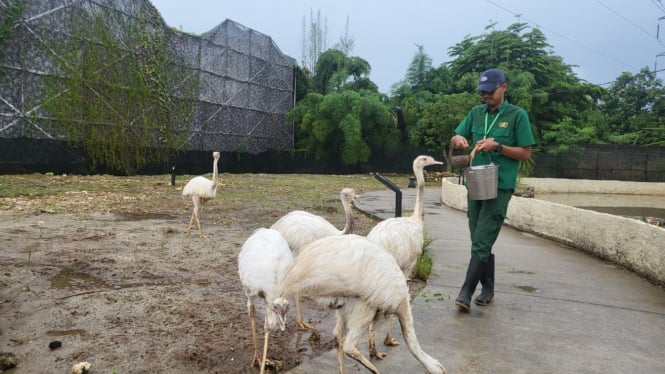 Trip singkat ke kebun binatang mini